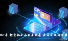  IOST币：投资机会与未来发