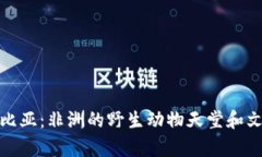 探索赞比亚：非洲的野生