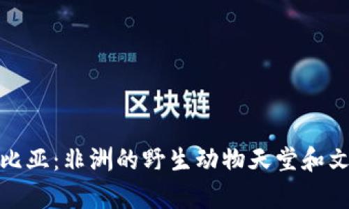 探索赞比亚：非洲的野生动物天堂和文化瑰宝