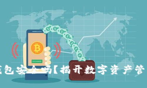 下载区块链钱包安全吗？揭开数字资产管理的神秘面纱