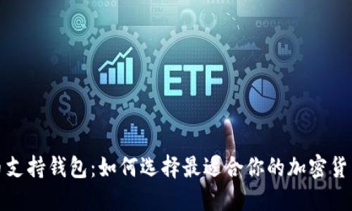 数字币支持钱包：如何选择最适合你的加密货币钱包