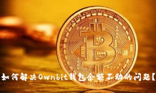 如何解决Ownbit钱包余额不动的问题？