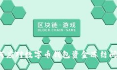 如何应对数字币钱包资金