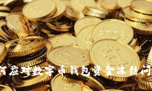 如何应对数字币钱包资金冻结问题？