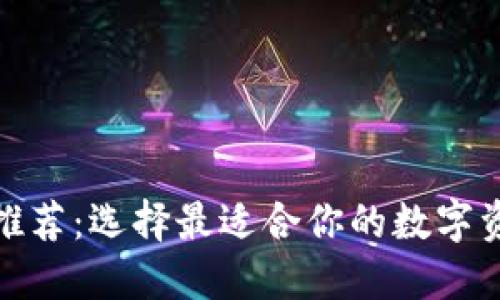 数字币钱包推荐：选择最适合你的数字资产管理工具