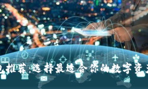 数字币钱包推荐：选择最适合你的数字资产管理工具