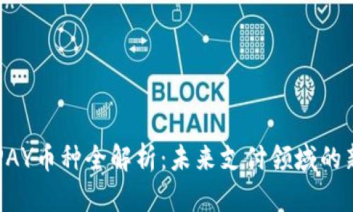 TOPAY币种全解析：未来支付领域的新星