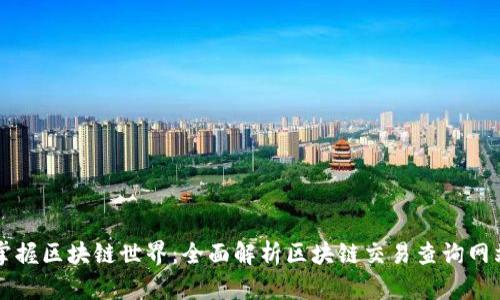 掌握区块链世界：全面解析区块链交易查询网站