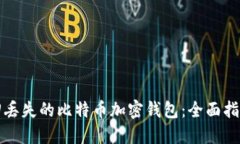 如何成功找回丢失的比特
