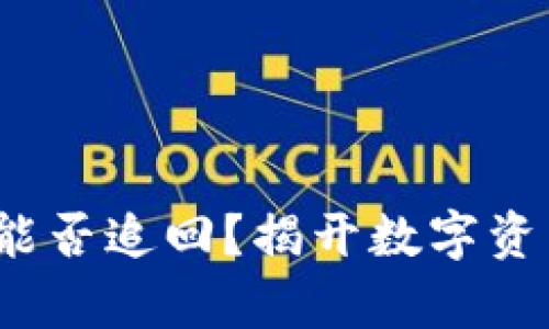 虚拟币被盗，能否追回？揭开数字资产保护的真相