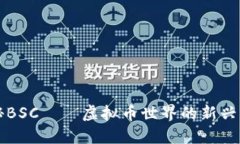 揭秘BSC——虚拟币世界的