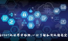 在USDT的世界中畅游：一站