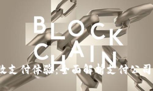 打造高效支付体验：全面解析支付公司API接口