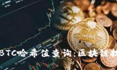 深入了解BTC哈希值查询：