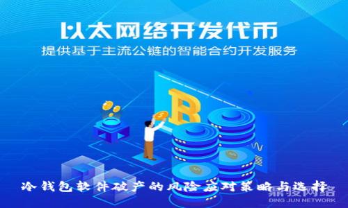冷钱包软件破产的风险应对策略与选择