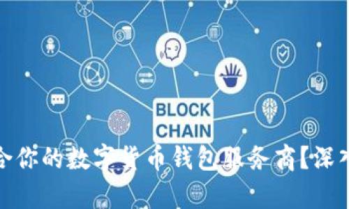 如何选择适合你的数字货币钱包服务商？深入解析与建议