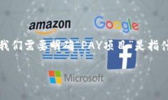 关于“PAY项目”被警察找
