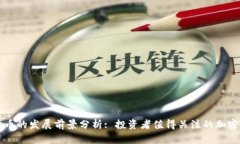 波场币的发展前景分析: