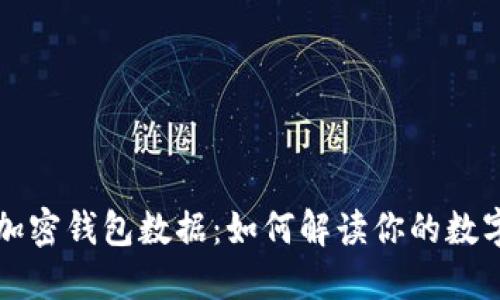 揭秘加密钱包数据:如何解读你的数字资产