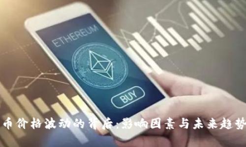 比特币价格波动的背后：影响因素与未来趋势分析