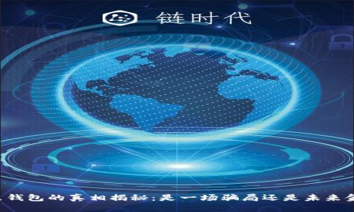 区块链节点钱包的真相揭秘：是一场骗局还是未来金融的希望？