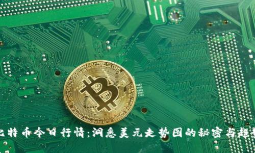 比特币今日行情：洞悉美元走势图的秘密与趋势