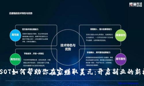 : USOT如何帮助你在家赚取美元：开启副业的新机会
