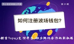 探索Topay支付平台：助力游