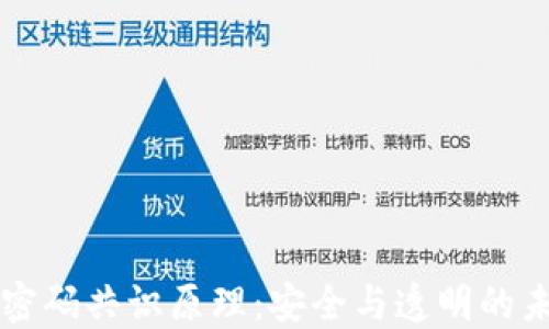 
区块链密码共识原理：安全与透明的未来之钥