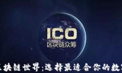 探索区块链世界：选择最