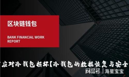 如何应对冷钱包损坏？冷钱包的数据恢复与安全策略