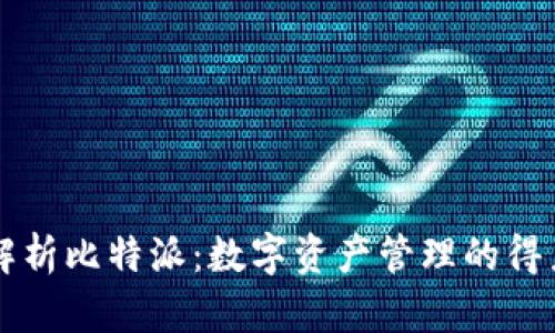 全面解析比特派：数字资产管理的得力助手