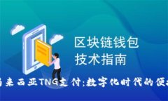 探索马来西亚TNG支付：数字化时代的便捷未来