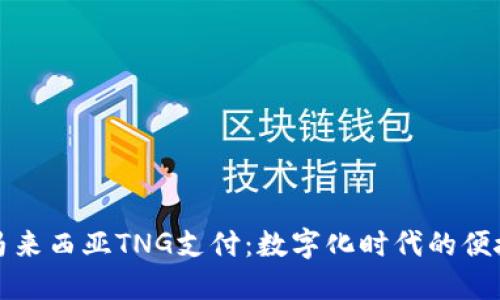 探索马来西亚TNG支付：数字化时代的便捷未来