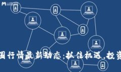 : 币圈行情最新动态：抓住机遇，投资未来