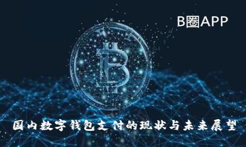国内数字钱包支付的现状与未来展望