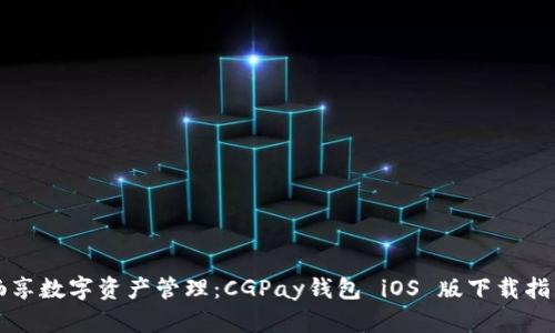 畅享数字资产管理：CGPay钱包 iOS 版下载指南