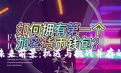 加密货币未来前景：机遇与挑战并存的投资领域