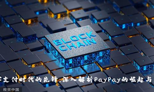 数字支付时代的先锋：深入解析PayPay的崛起与未来