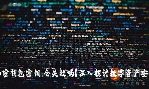解密加密钱包密钥：会失效吗？深入探讨数字资产安全之道