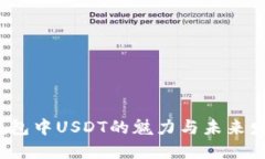  电子钱包中USDT的魅力与未