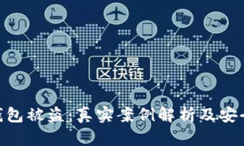 : 区块链钱包被盗：真实案例解析及安全防护措施