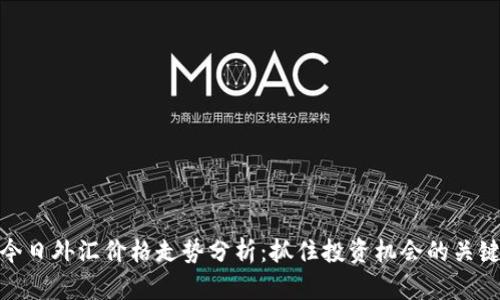 今日外汇价格走势分析：抓住投资机会的关键