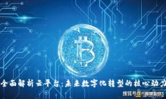 全面解析云平台：未来数