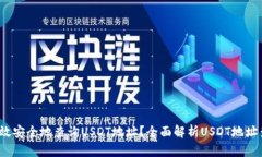  如何高效安全地查询USD