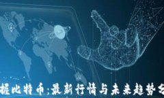 掌握比特币：最新行情与