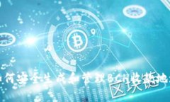 如何安全生成和管理BCH收