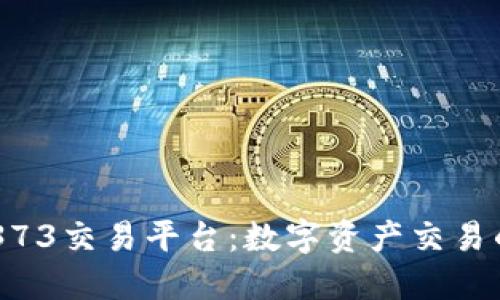 探索DD373交易平台：数字资产交易的新大陆