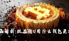 : 全面解析：现在转U用什