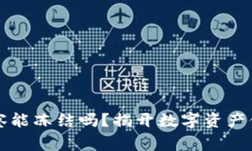 区块链钱包警察能冻结吗？揭开数字资产保护的神秘面纱